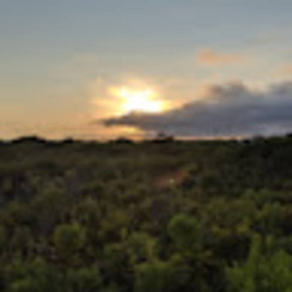 Meet your Posher, Justice - Picture 1 of 1